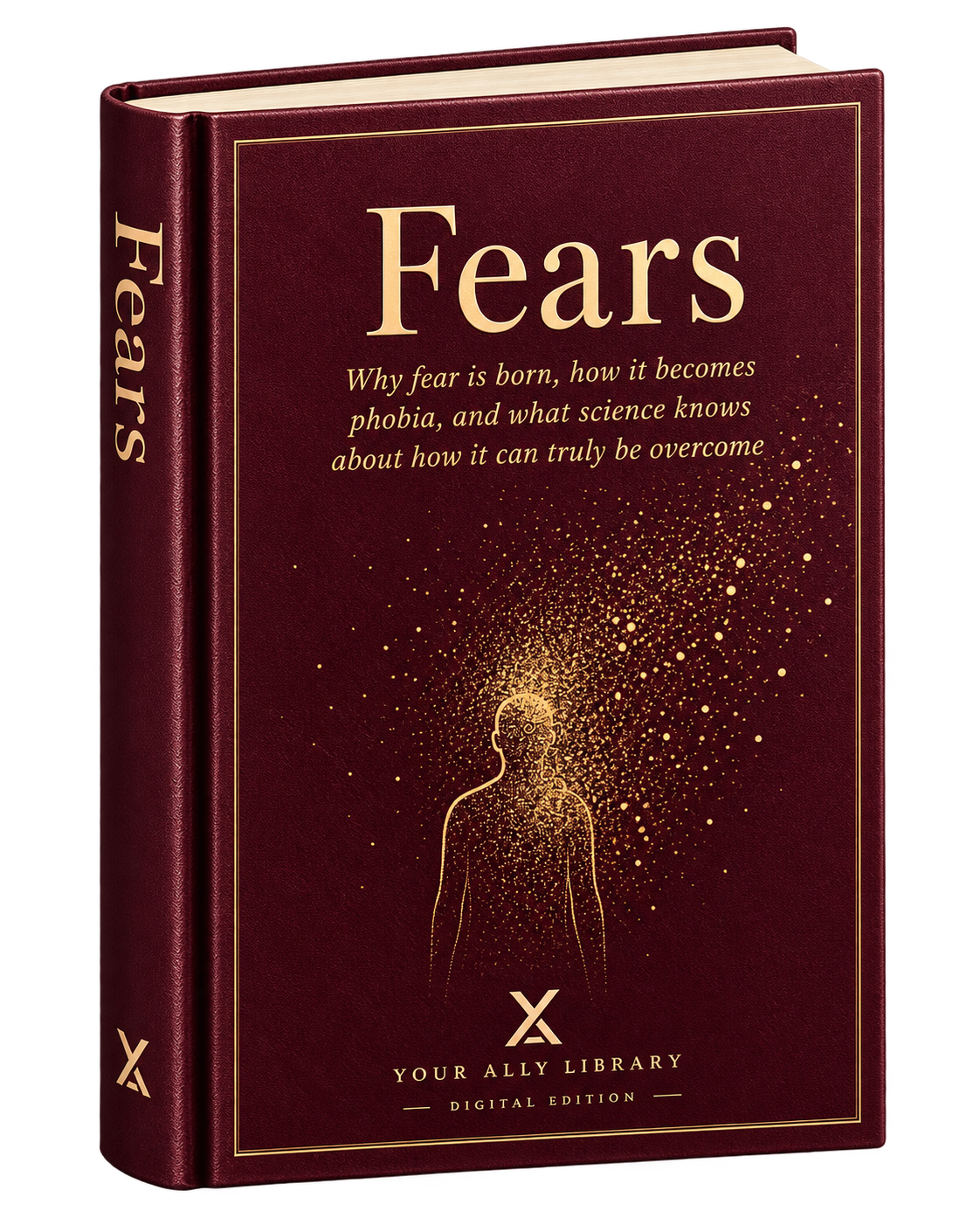 Fears – What Fear Is, How Phobias Form, and How to Overcome Them